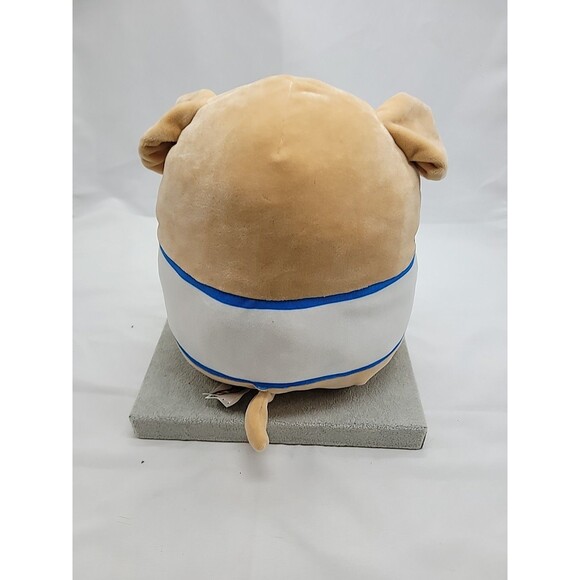 Spencer Squishmallow Puppy  Five Below Exclusive!  9" - Picture 7 of 12